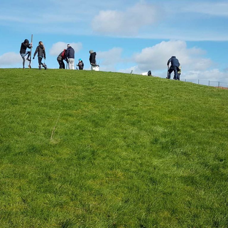 Read more about the article Welcome to our New Website