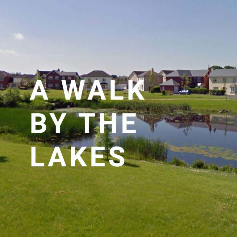 Read more about the article Kilminchy Lake Walks