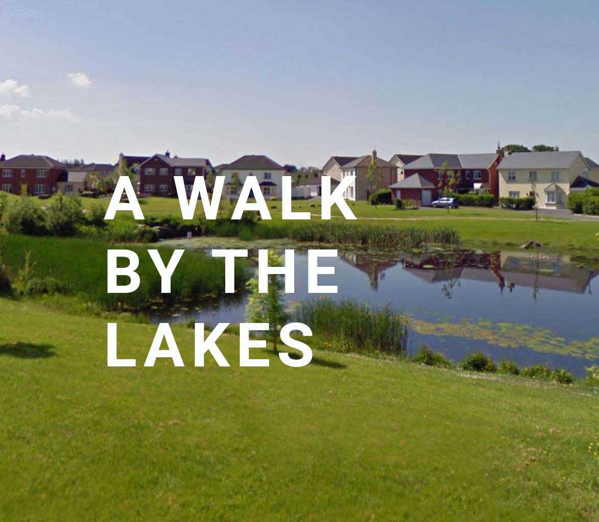 You are currently viewing Kilminchy Lake Walks